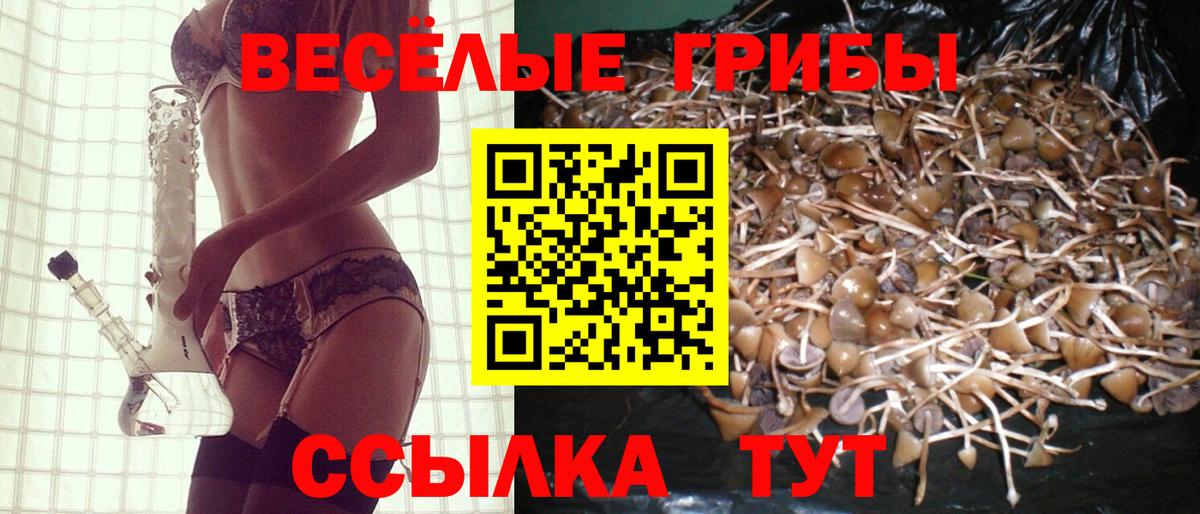 Псилоцибиновые грибы мухоморы  дарнет шоп  Кингисепп  Галлюциногенные грибы Psilocybe  Вход с VPN 